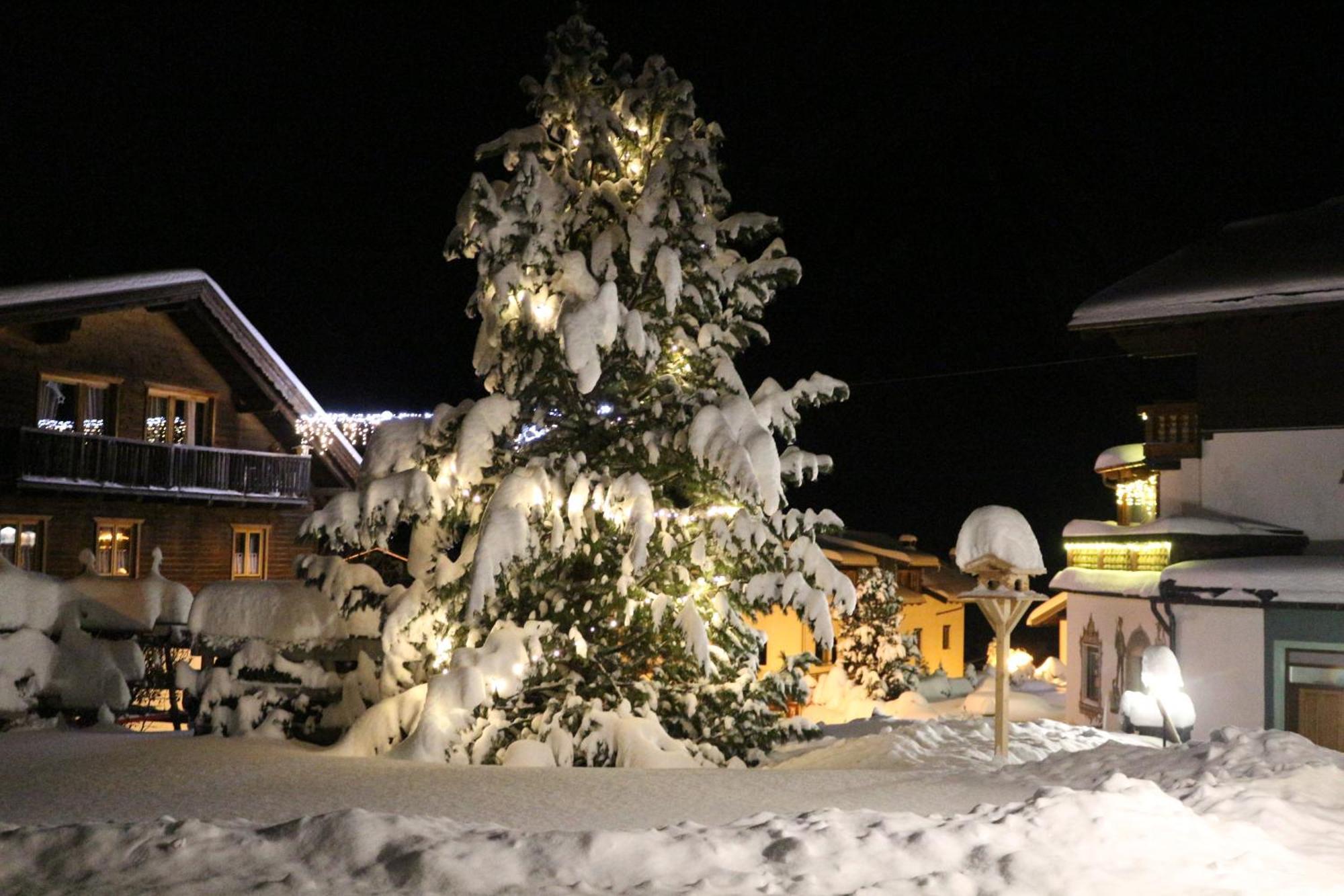 Haus Daheim Bed & Breakfast Berwang Dış mekan fotoğraf